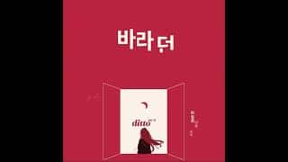 Ditto 타이포그래피